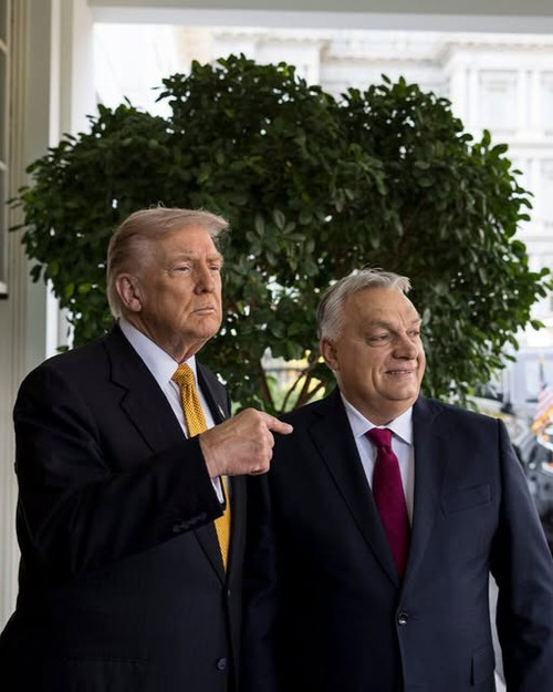 615999115 1485112916952684 5206766375208919687 n.jpg?stp=dst jpg s640x640 tt6& nc cat=102&ccb=1 7& n.jpg