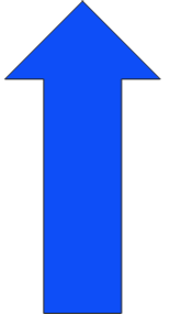 Arah Evakuasi.png