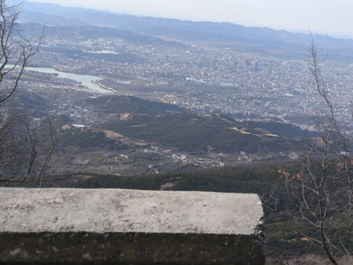 1000016183.jpg
