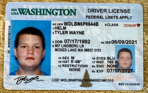 Tyler Helm license image.jpg