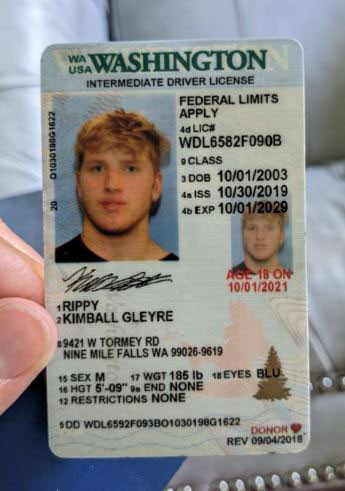 Kimball Gleyre Rippy license image.jpg