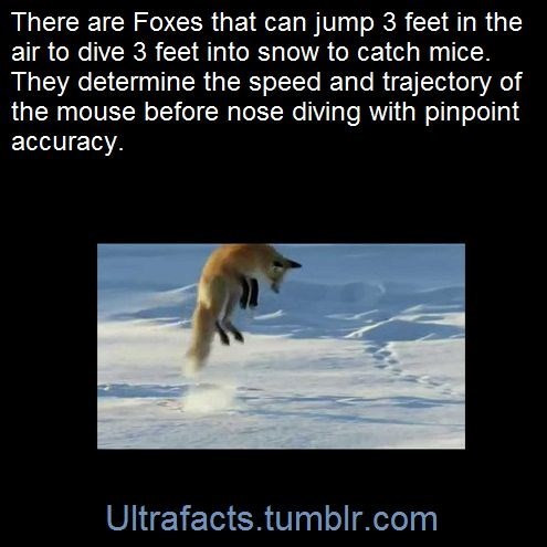 1000005003.jpg