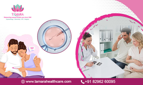 Best IVF Doctor in Bangalore for Personalized Fertility Care Tamara Hospital & IVF Center.jpg
