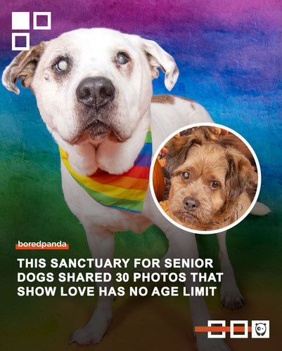 heartwarming portraits the sanctuary.jpg