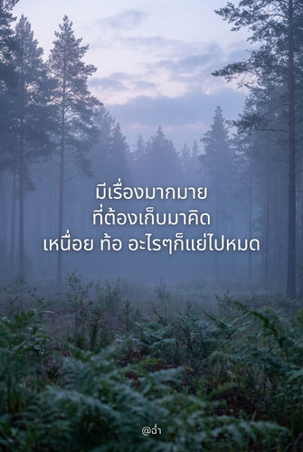 c7a3b842d423.jpg