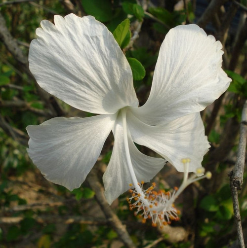 11468381613 06c547032f b.jpg