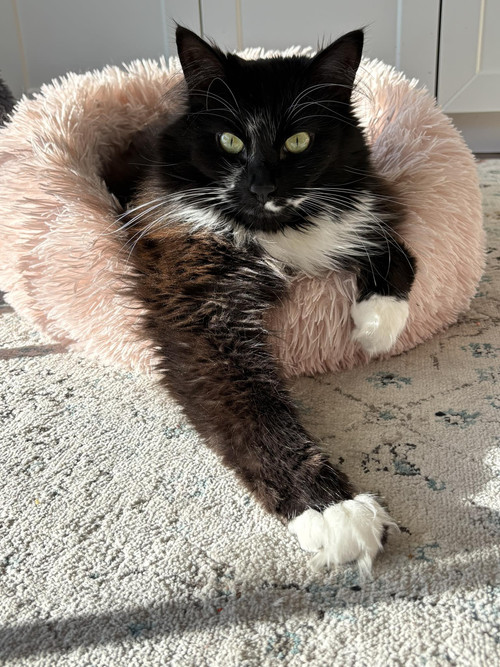 616822204 871982412245346 5714580869219542686 n.jpg