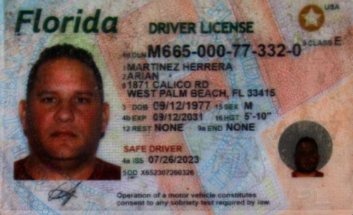 Arian Martinezherrera license image.png