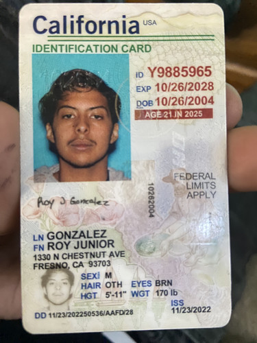 Roy Junior Gonzalez license image.jpg