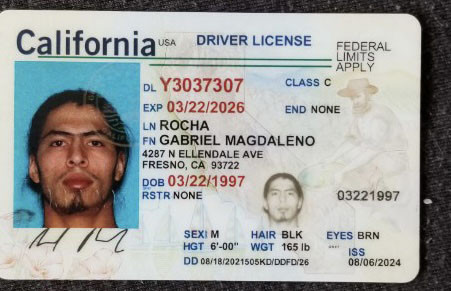 Gabriel Magdaleno Rocha license image.jpg