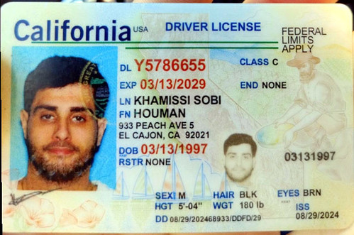 Houman Khamissi license image.jpg