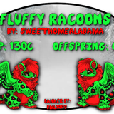 fluffy racoons