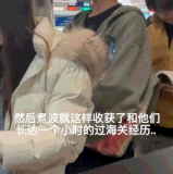 IMB iilPRx.gif