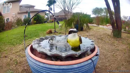 F21bwNFkBLWJQkG .jpg