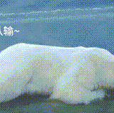 1000172029.gif