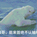 1000172030.gif