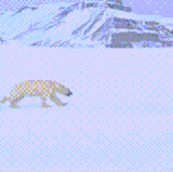 1000172026.gif
