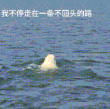 1000172027.gif