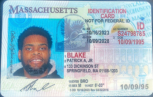 Patrick A Blake license image.jpg