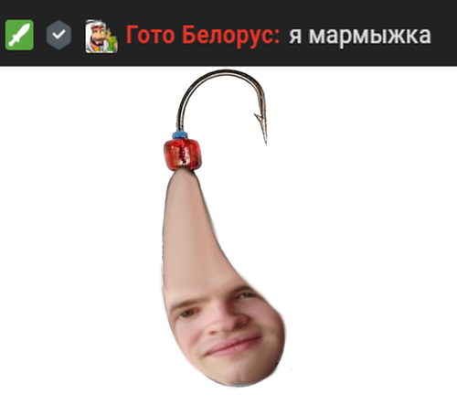 Снимок экрана 2026 01 20 135517.png