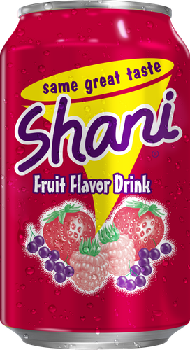 SHANI 320.png