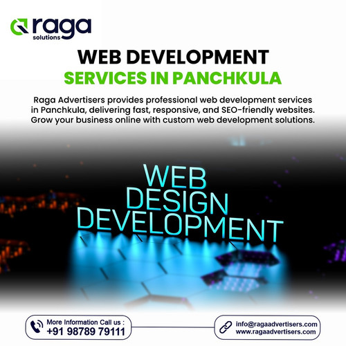 Web Development Services in Panchkula.jpg