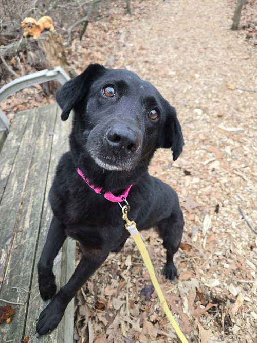 G 9MX5MXsAAU0NT?format=jpg.jpg