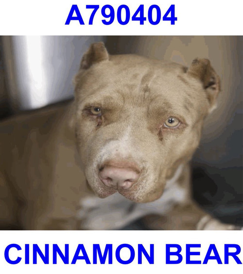 G QU0gWoAAeyDq?format=jpg.jpg