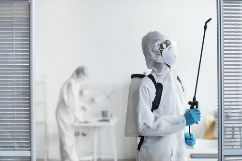 pest tech29.jpg