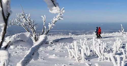 15025335559809167305?url=https%3A%2F%2Fcdn.mandiner.hu%2F2026%2F01%2FzaBevr 7FCq8OqxuNlYlenP2ps7AK35.jpg