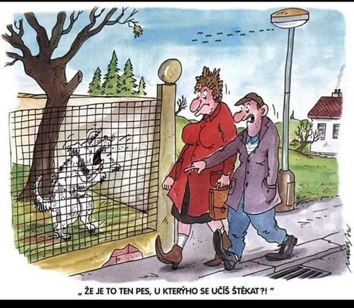 615241289 918450137519020 532884210260449869 n.jpg