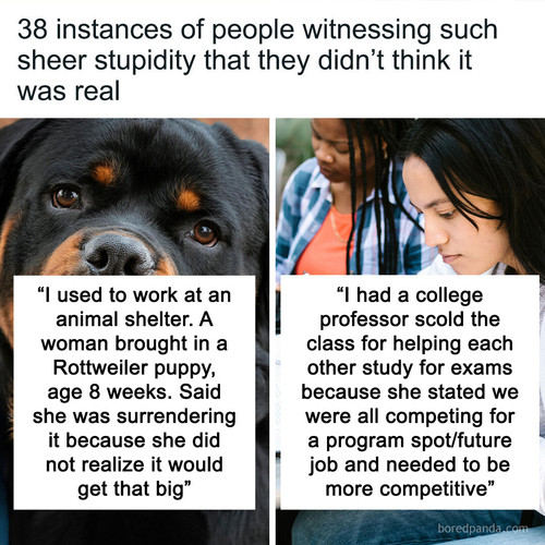 most are you kidding moment sharing.jpg