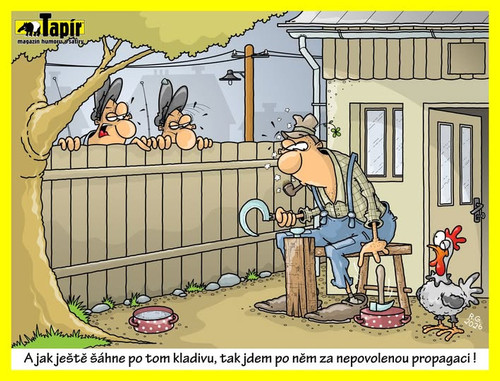 616631283 1477898824343951 9220011493579932161 n.jpg