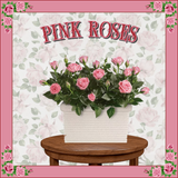 PINK ROSES (2)