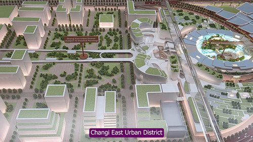 Changi Airport Terminal 5 A Deep Dive into Singapore Future Mega Terminal T5 4 34 screenshot.jpg