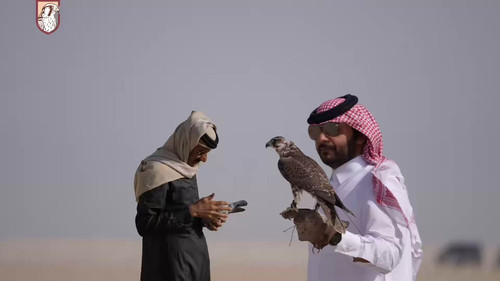 7L9TLINE6HFu8Awy.jpg