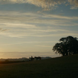 A.Knight.of.the.Seven.Kingdoms.S01E01.The.Hedge.Knight.2160p.HMAX.WEB DL.CZ SK EN.DD+5.1.DoVi.HDR.H.