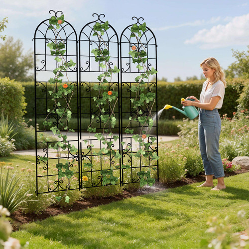 HAUHUW XZ1972FLOW (1).jpg