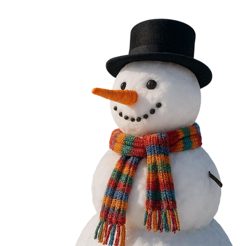 PNG Yeni Yil Süslemeleri V010120260212 N 29.png