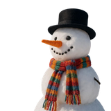 PNG Yeni Yil Süslemeleri V010120260212 N 29