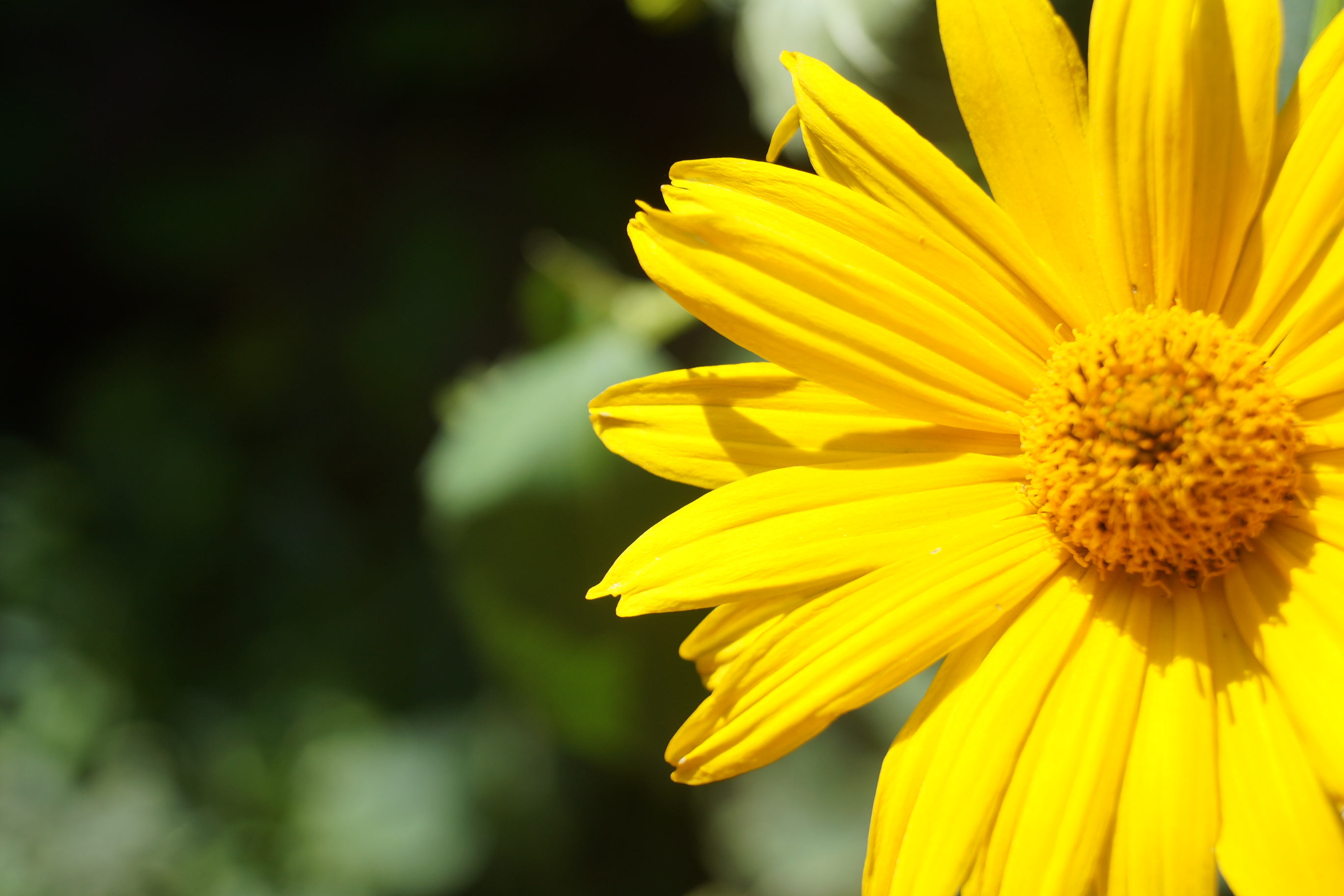 [Image: fh5PrTG.jpg]