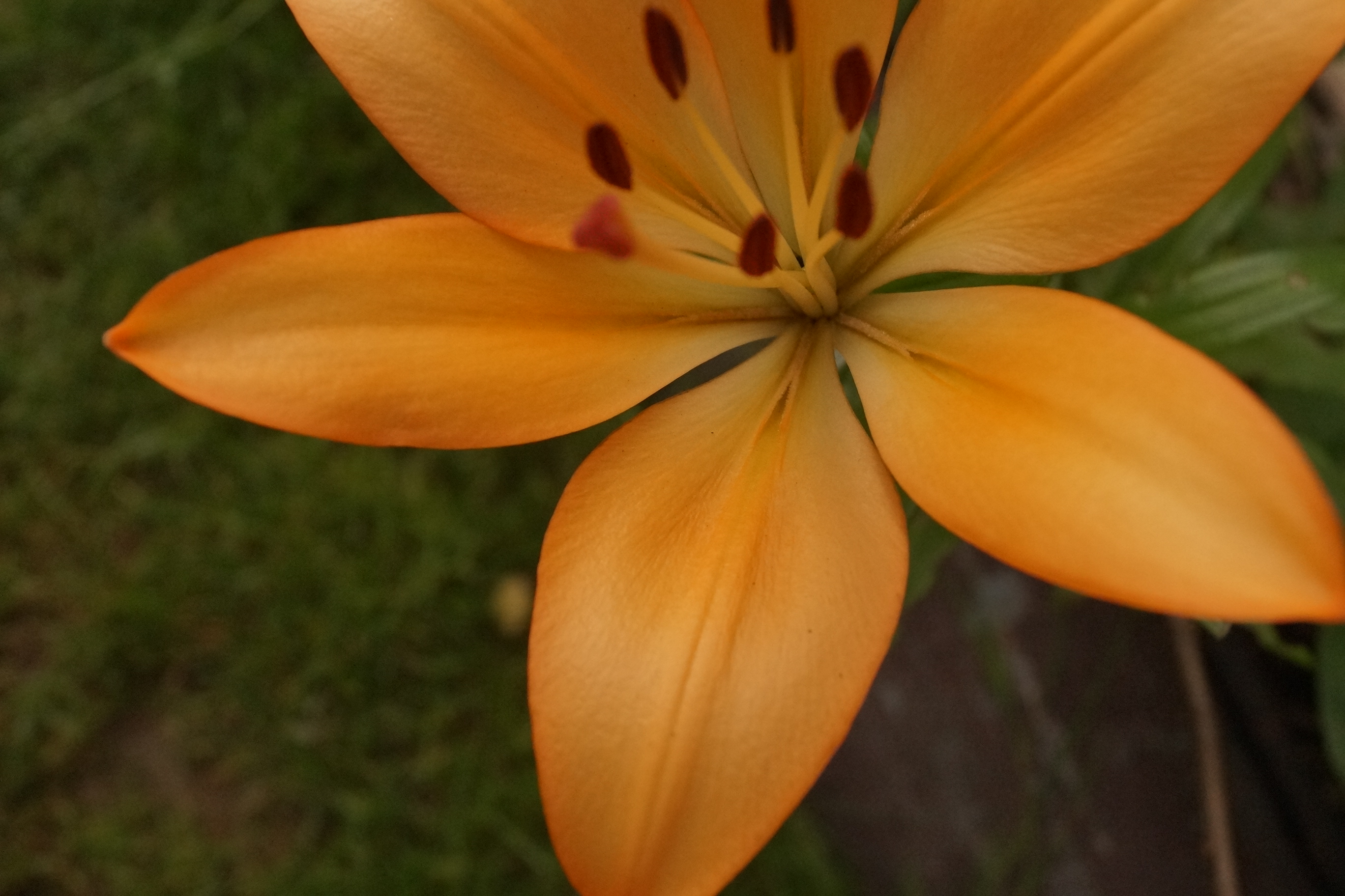 [Image: fh5UA3g.jpg]