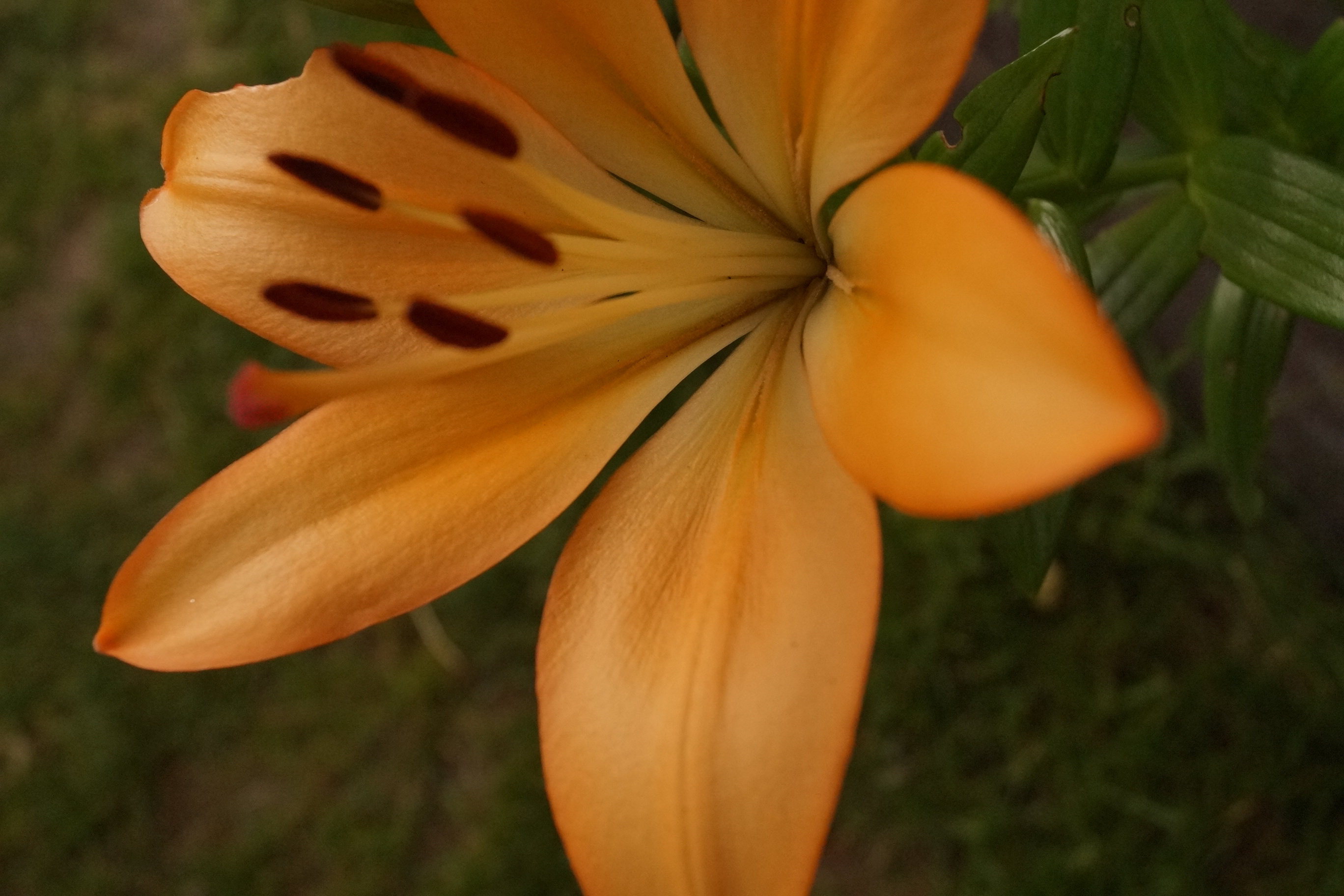 [Image: fh5UCTQ.jpg]