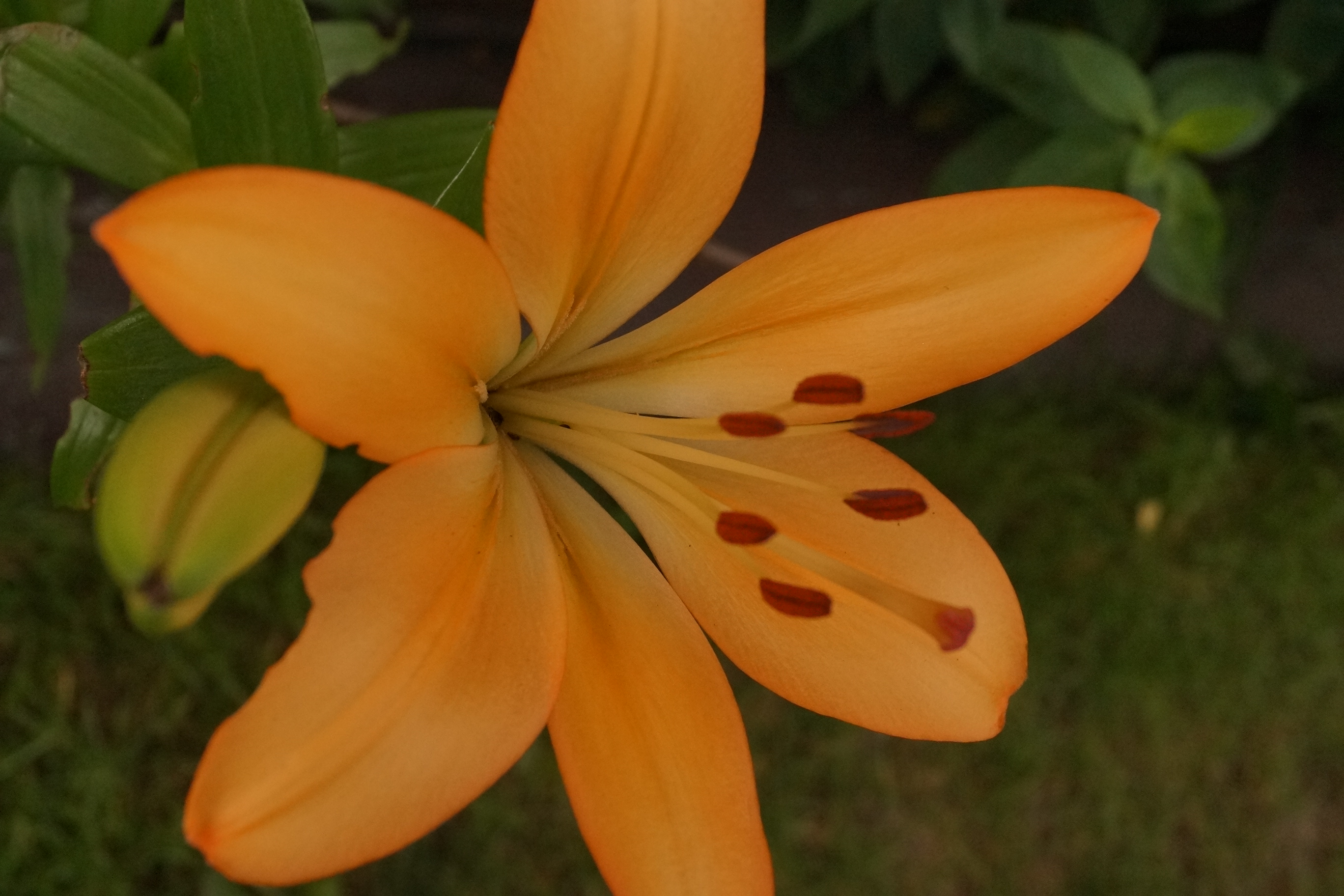 [Image: fh5URaa.jpg]