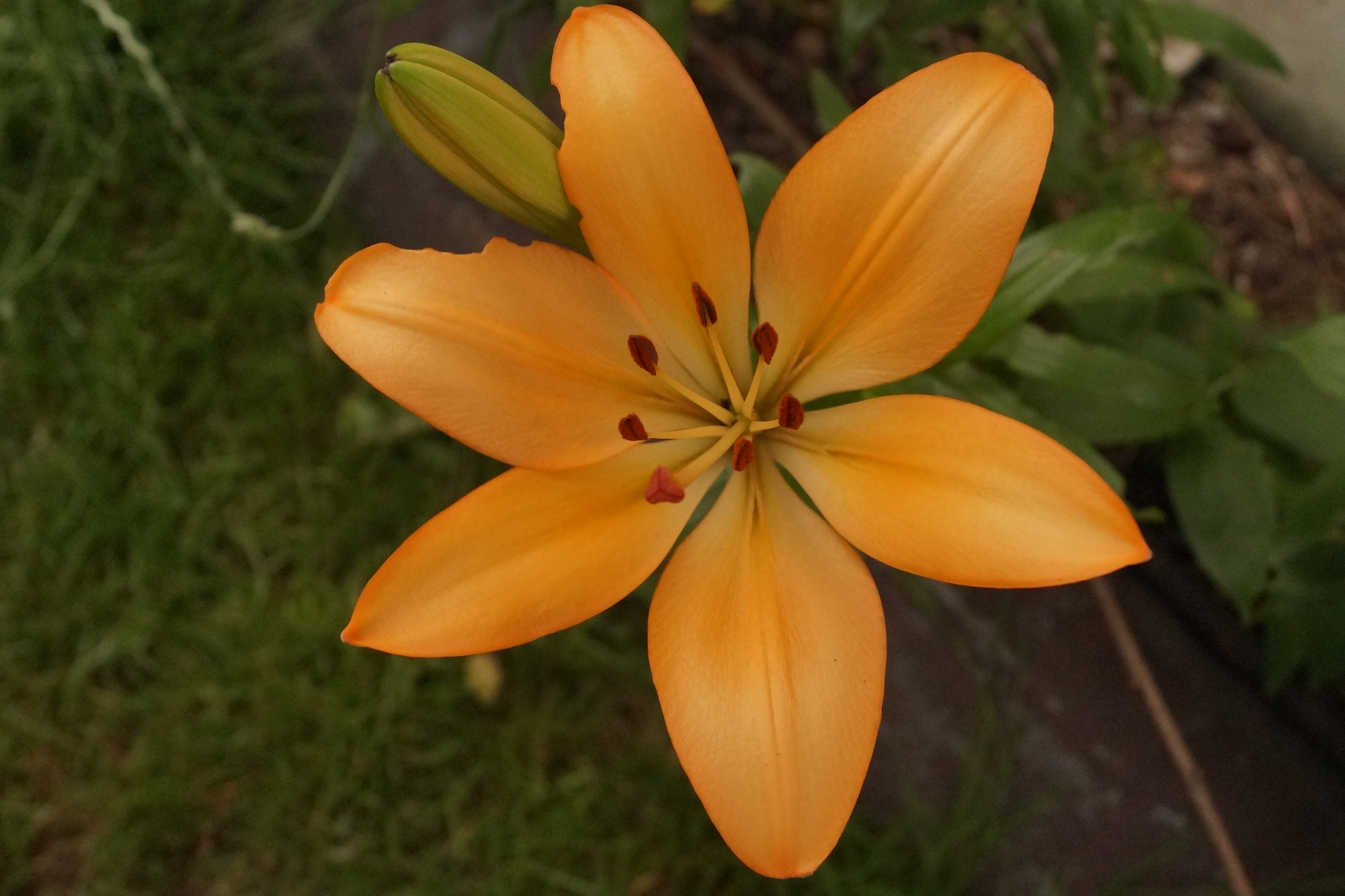 [Image: fh5UT6F.jpg]