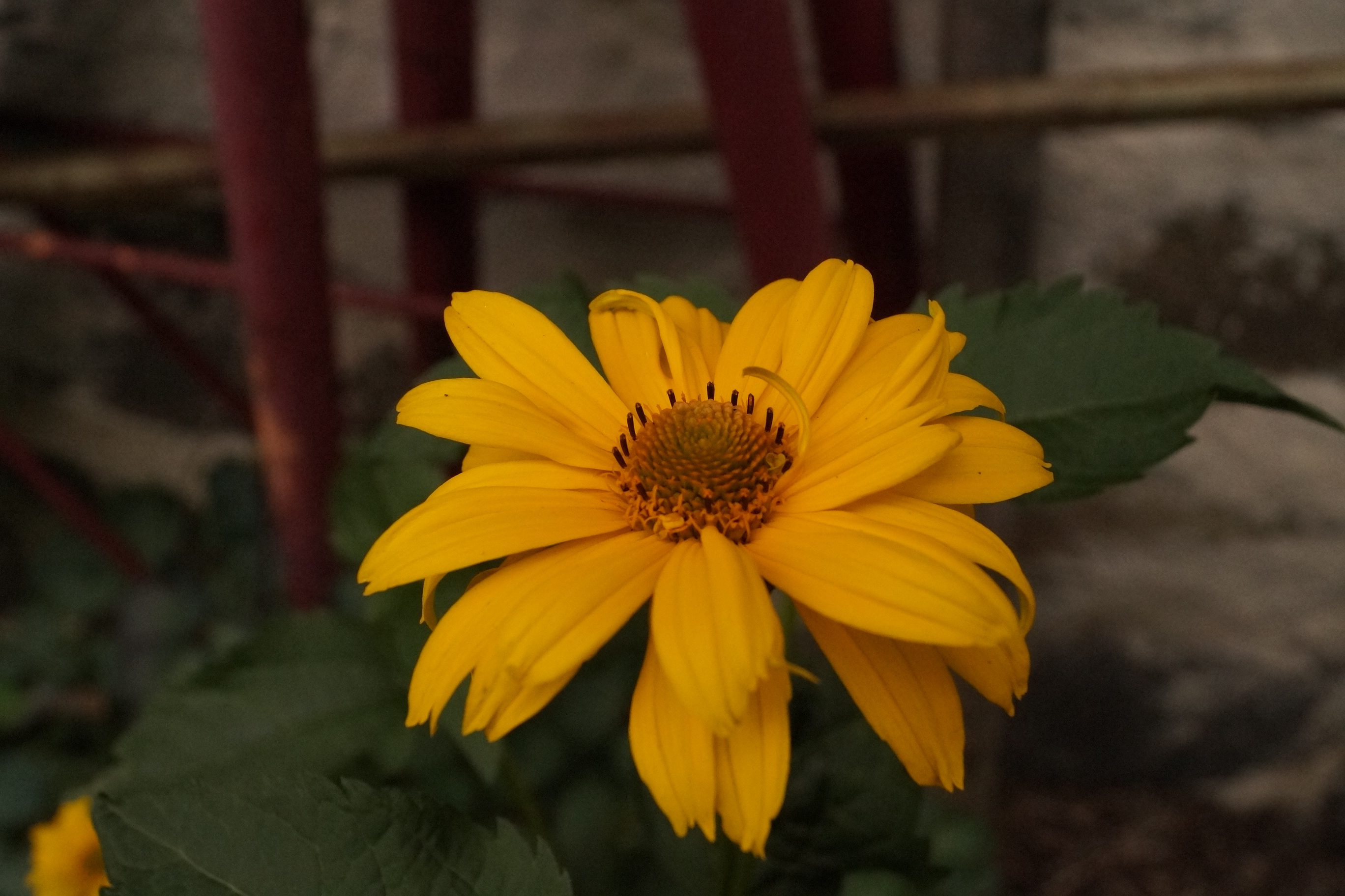 [Image: fh5Ucjp.jpg]