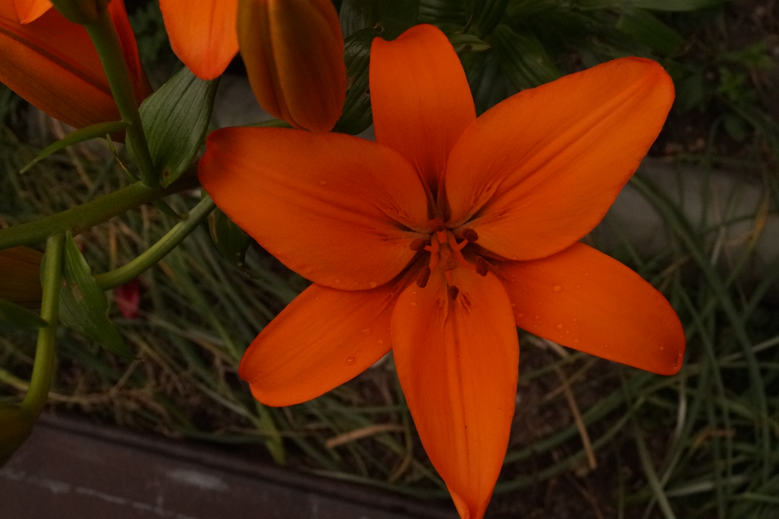 [Image: fh5rBLB.jpg]