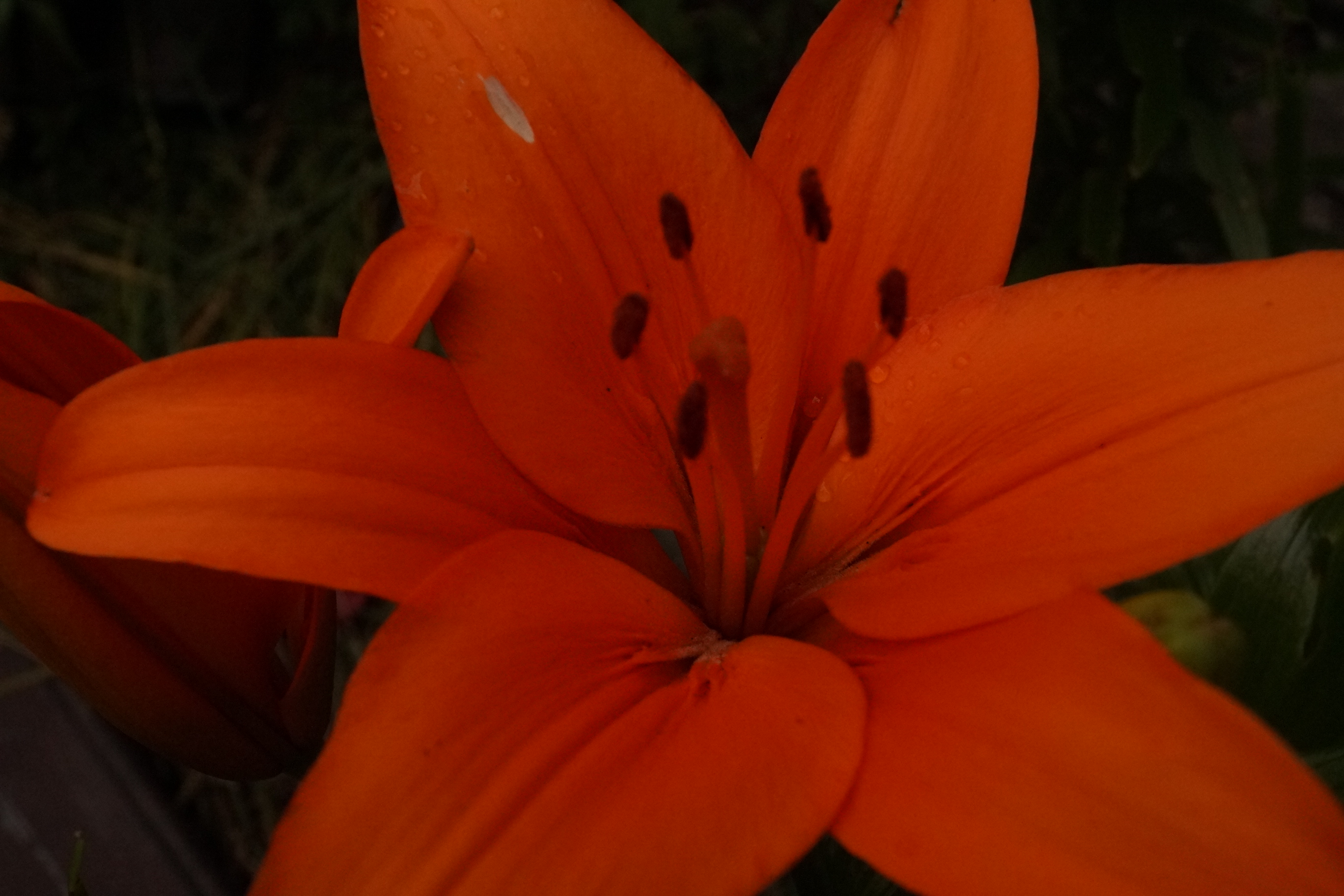 [Image: fh5rFmx.jpg]