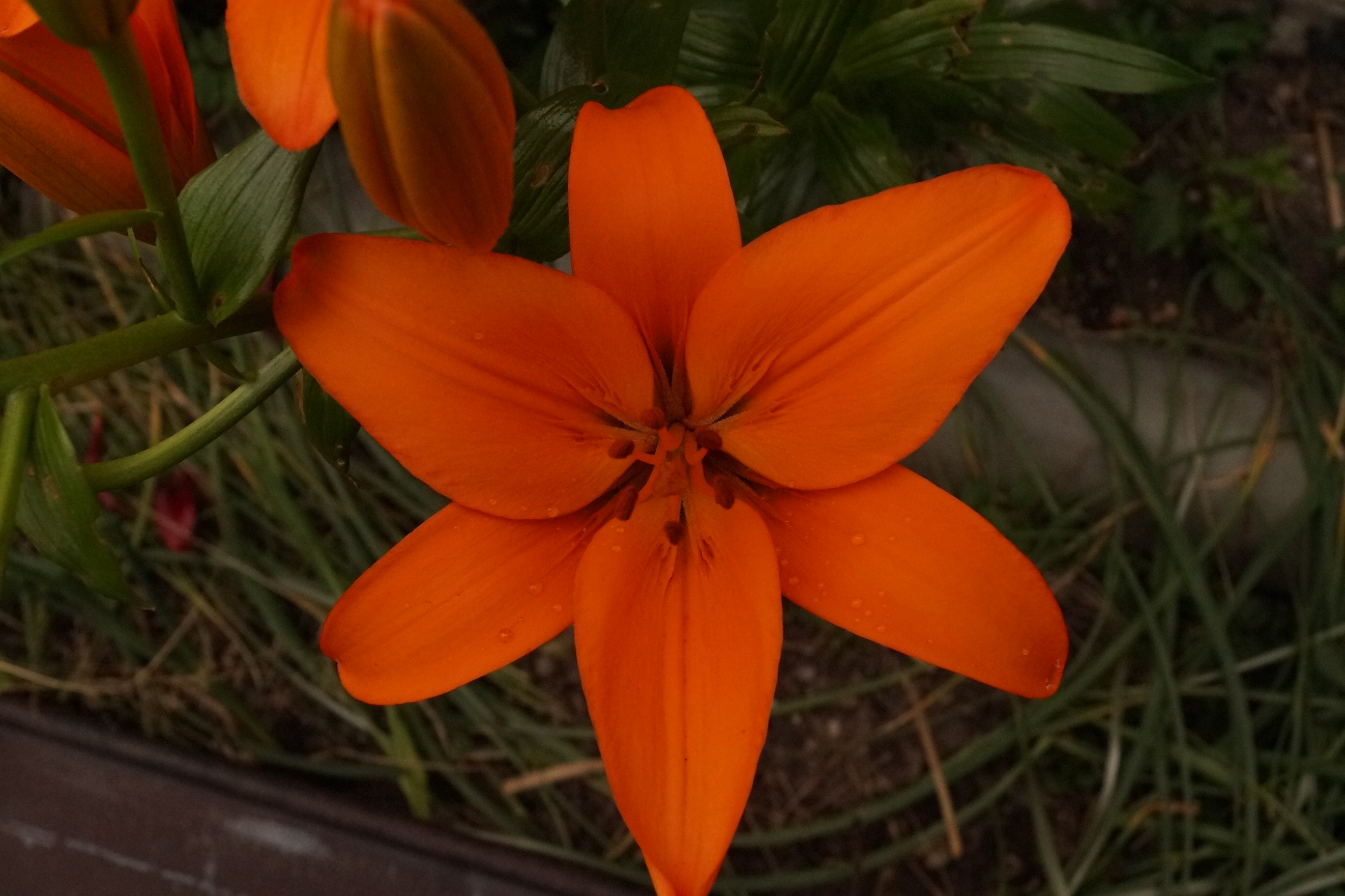 [Image: fh5rqXV.jpg]