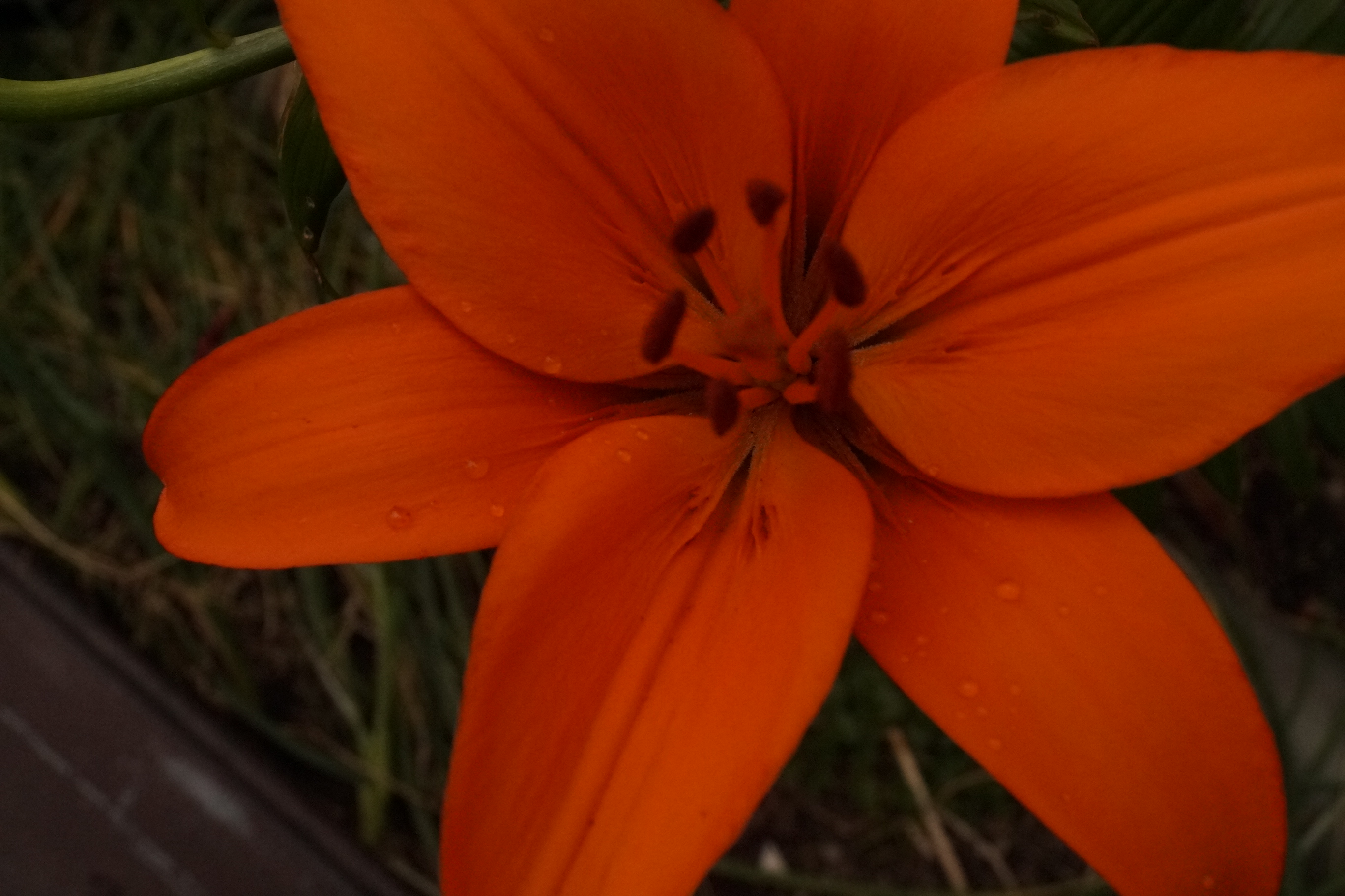 [Image: fh5rukJ.jpg]